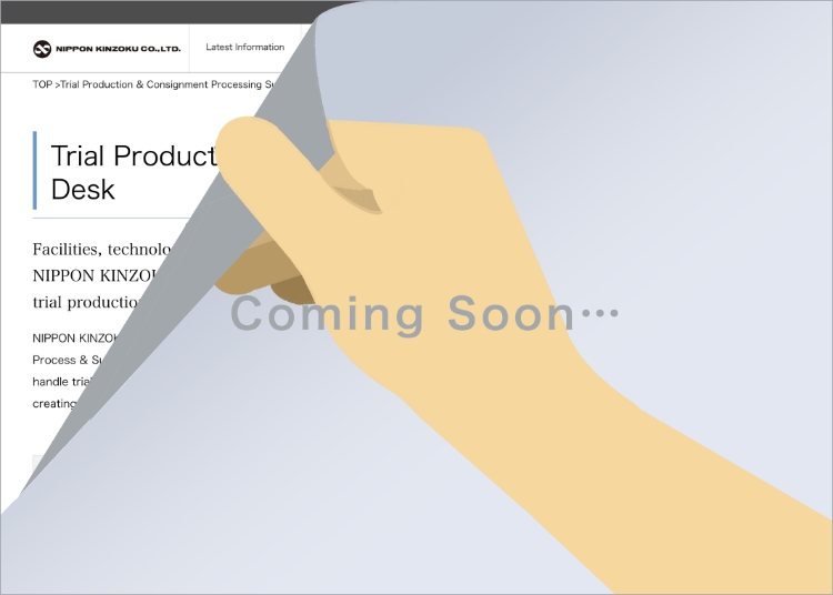Trial Production & Consignment Processing Support Desk